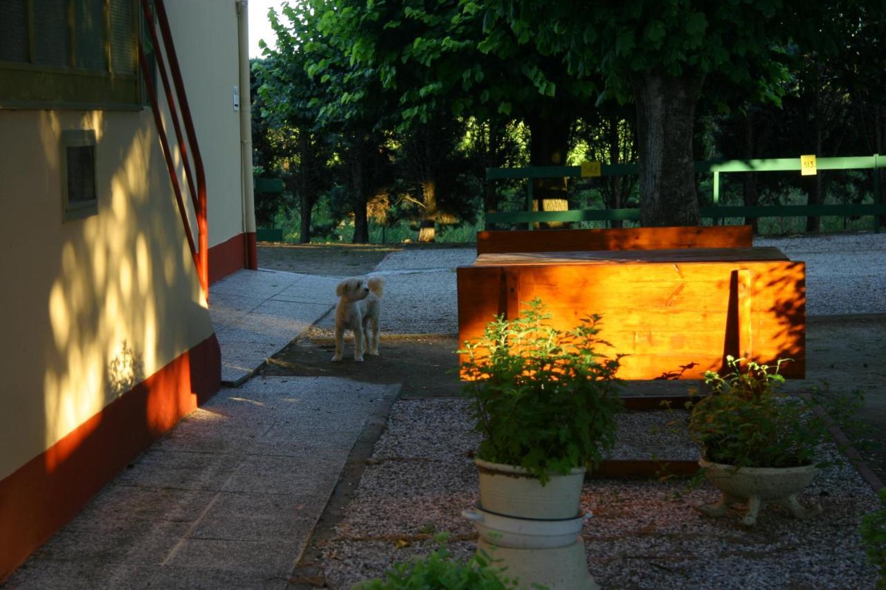 Villa Lilli 2 페라라 외부 사진